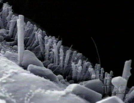 Hearing - Cochlear Cilia